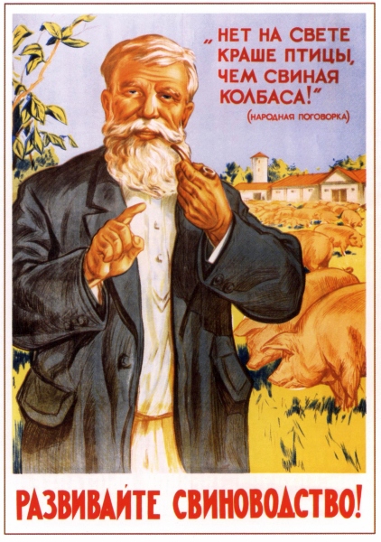 Poster #36